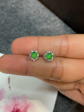 Load image into Gallery viewer, Icy Green Jadeite Earrings (NJE135)
