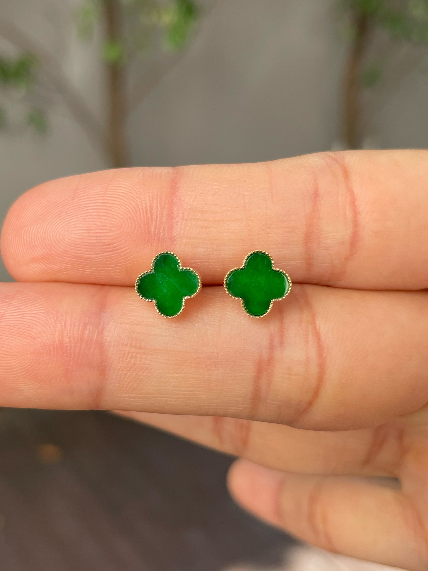 Green Clover Jadeite Earrings (NJE153)