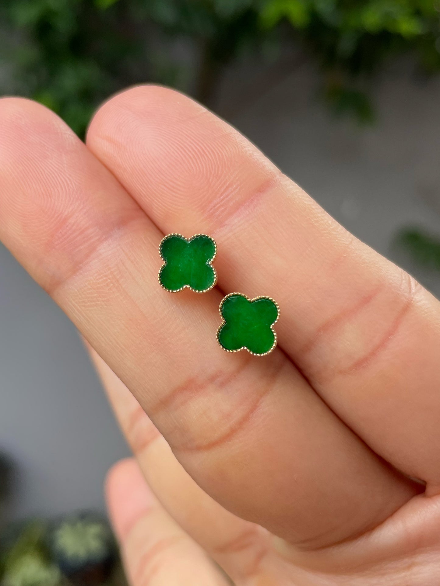 Green Clover Jadeite Earrings (NJE153)