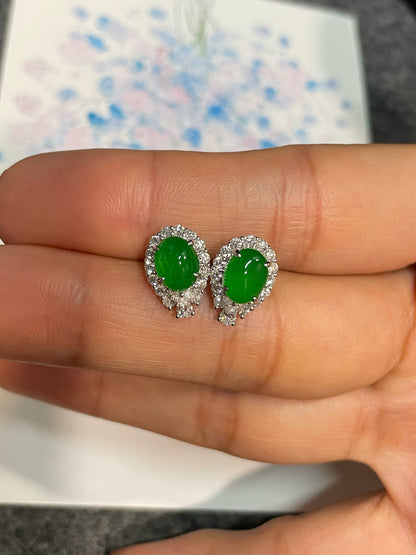 Green Jade Earrings - Cabochons (NJE157)