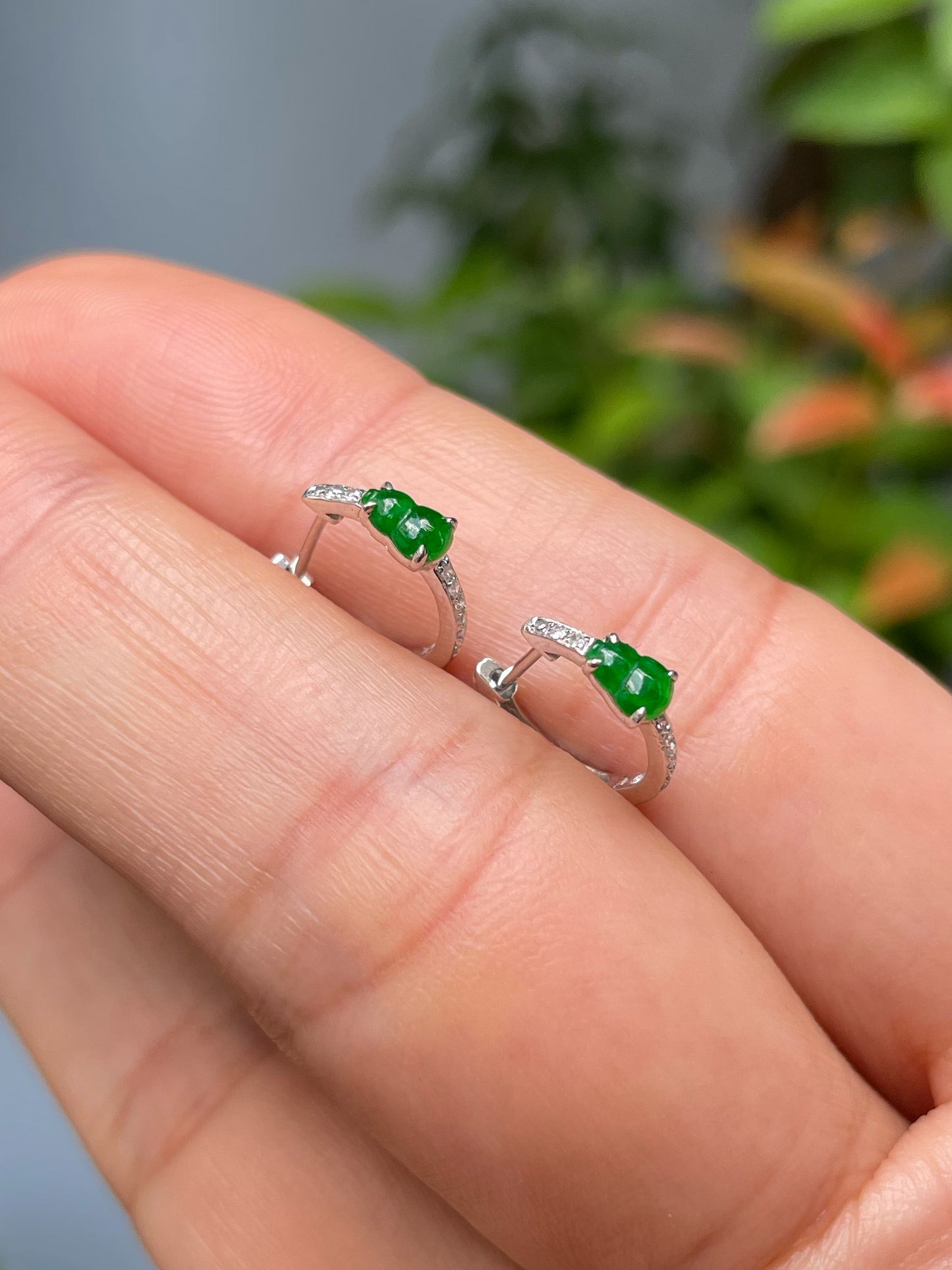 Green Jadeite Earrings - Hu Lu (NJE193)