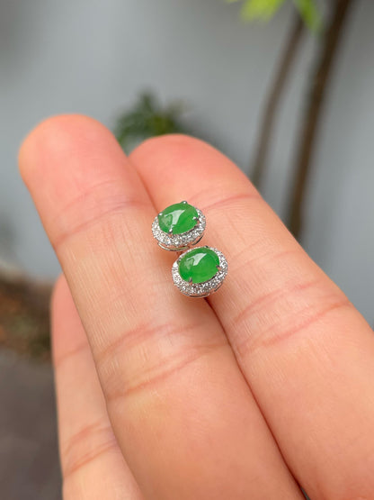 Green Jadeite Cabochon Earrings (NJE199)