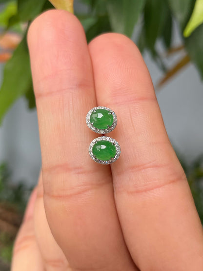 Green Jadeite Cabochon Earrings (NJE199)