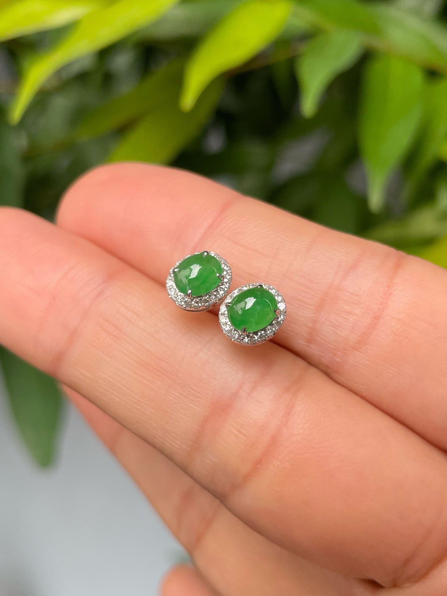 Green Jadeite Cabochon Earrings (NJE199)