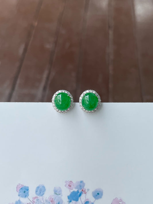 Green Jadeite Cabochon Earrings (NJE210)