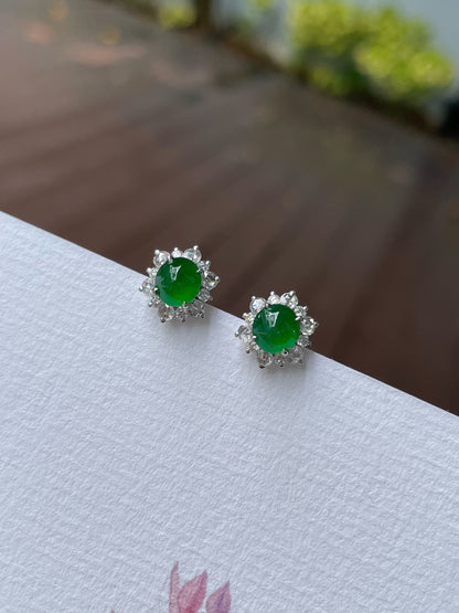 Green Jade Earrings - Cabochons (NJE257)