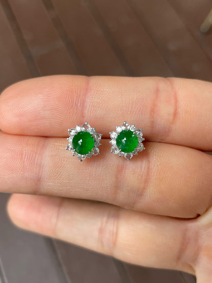 Green Jade Earrings - Cabochons (NJE257)
