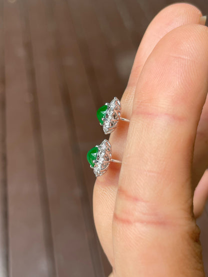 Green Jade Earrings - Cabochons (NJE257)