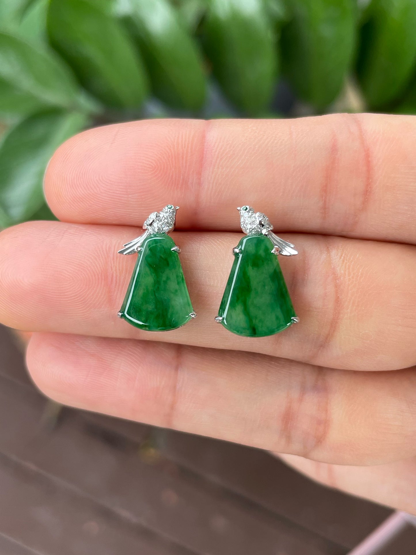 Green Jade Earrings (NJE238)
