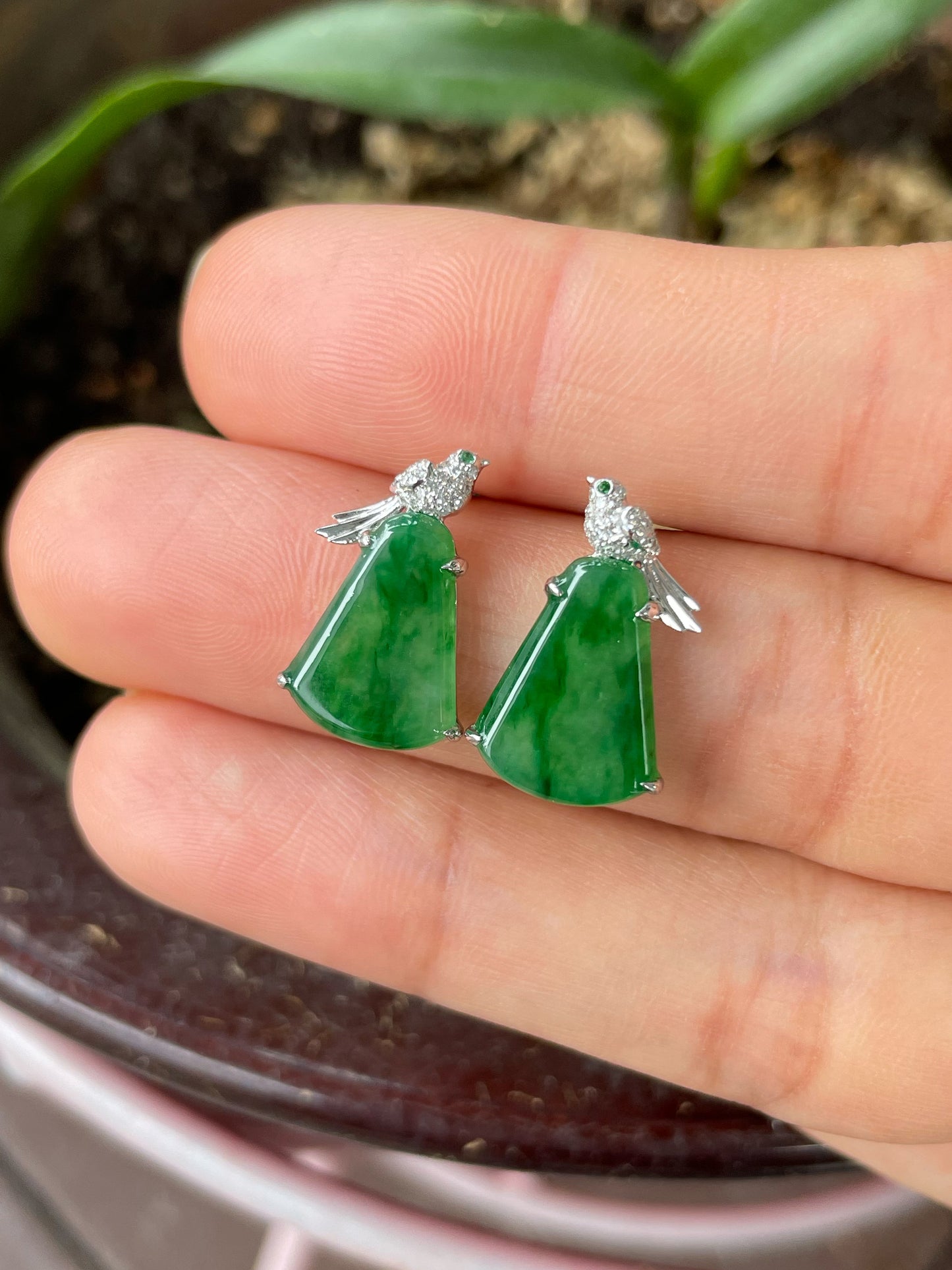 Green Jade Earrings (NJE238)