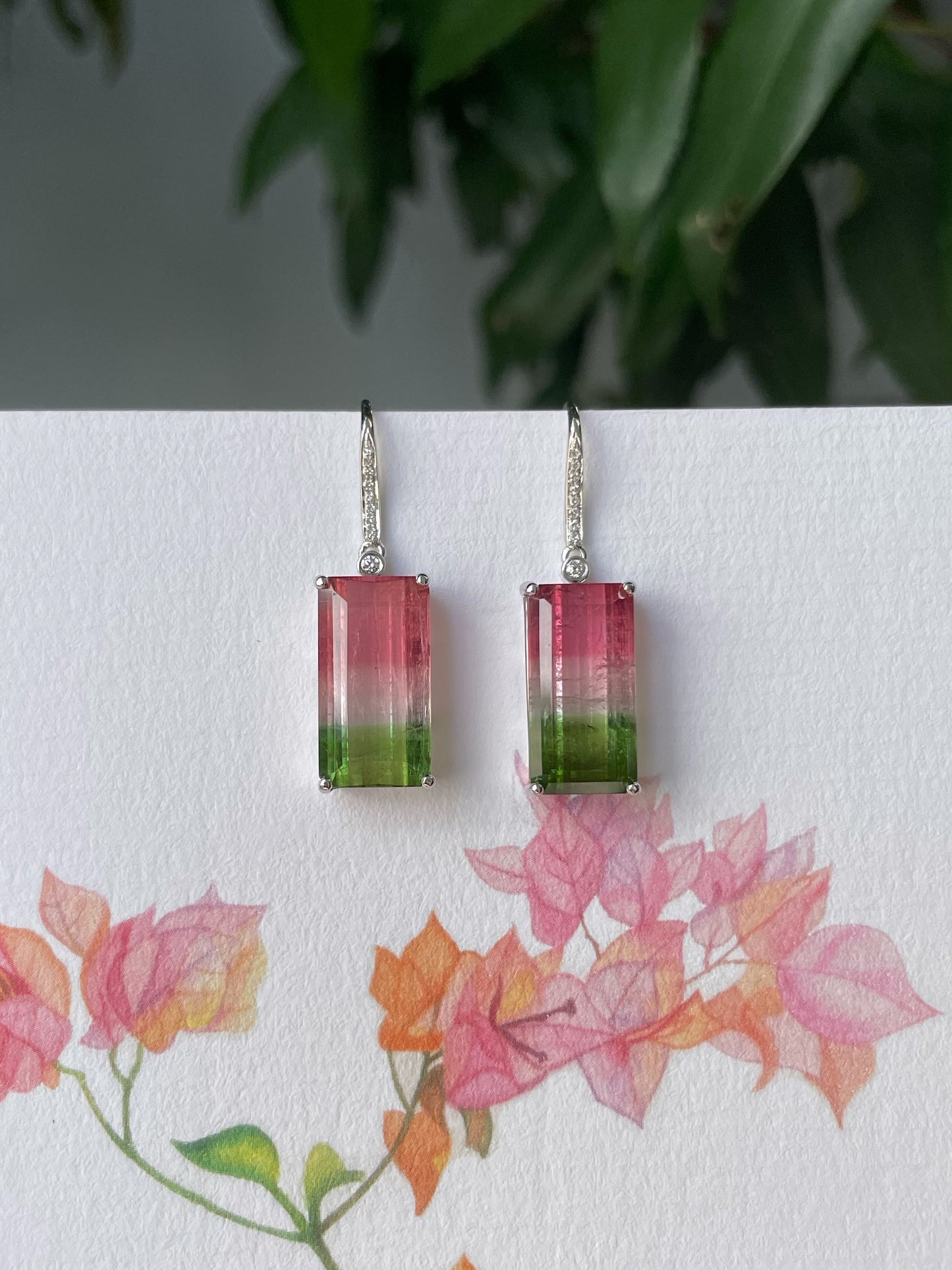 Watermelon Tourmaline Earrings - 14.66CT (NJE253)