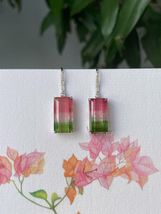 Watermelon Tourmaline Earrings - 14.66CT (NJE253)