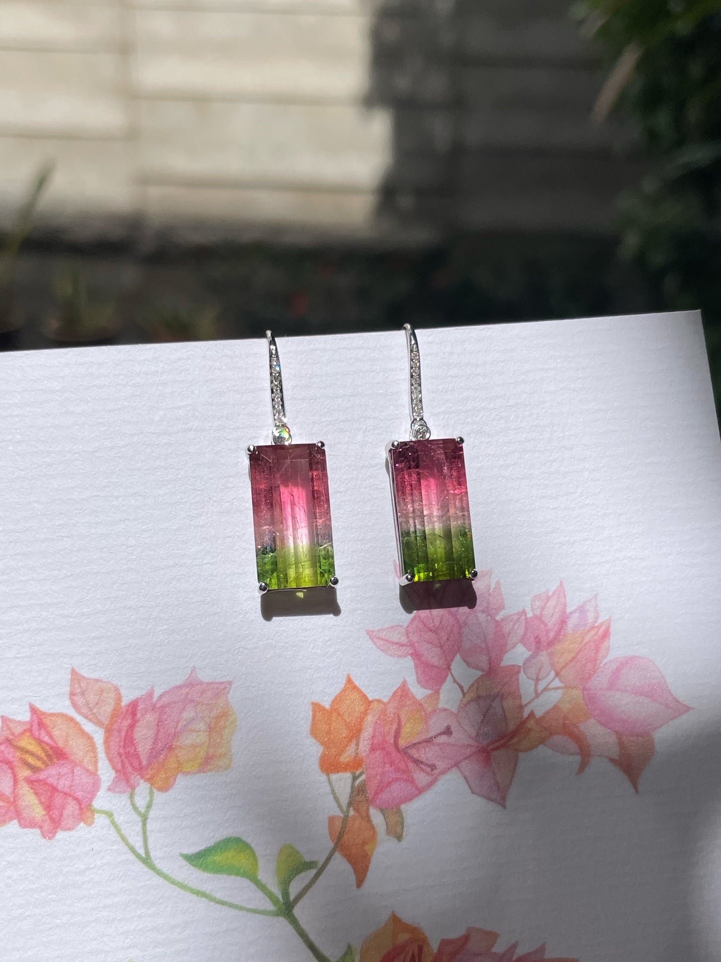 Watermelon Tourmaline Earrings - 14.66CT (NJE253)
