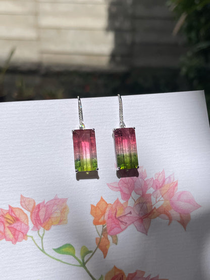Watermelon Tourmaline Earrings - 14.66CT (NJE253)