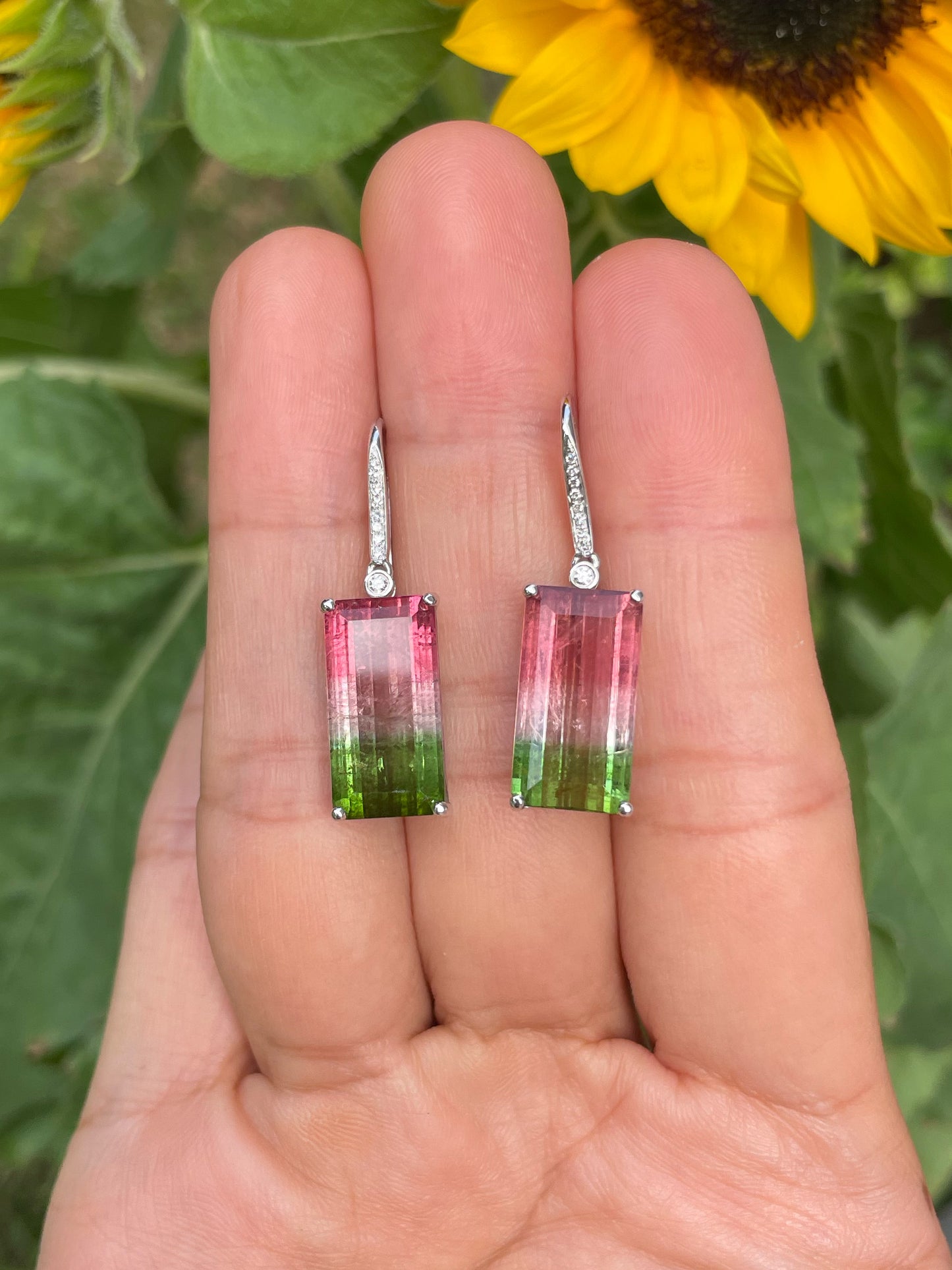 Watermelon Tourmaline Earrings - 14.66CT (NJE253)