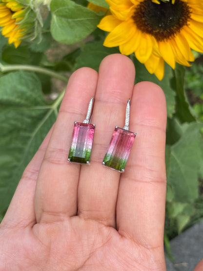 Watermelon Tourmaline Earrings - 14.66CT (NJE253)
