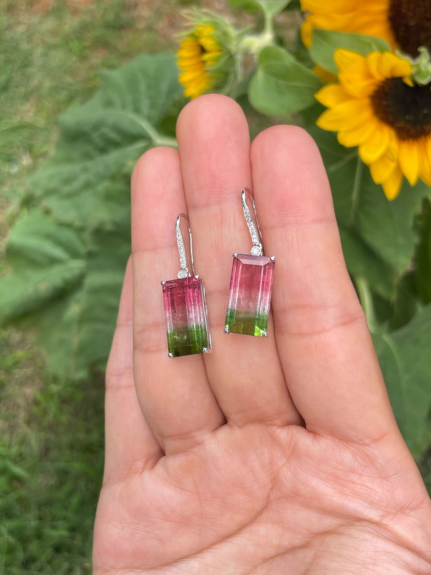 Watermelon Tourmaline Earrings - 14.66CT (NJE253)