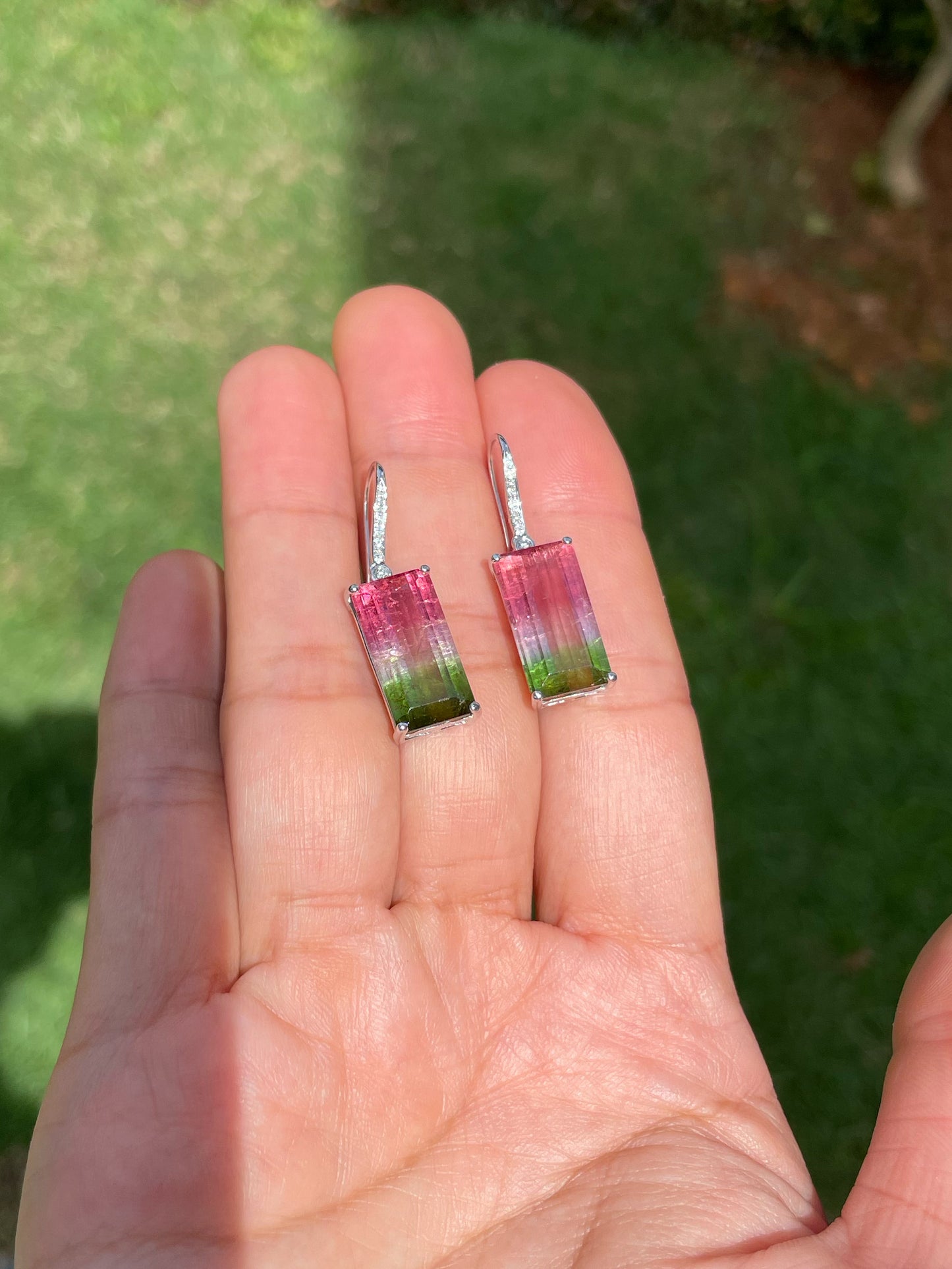 Watermelon Tourmaline Earrings - 14.66CT (NJE253)