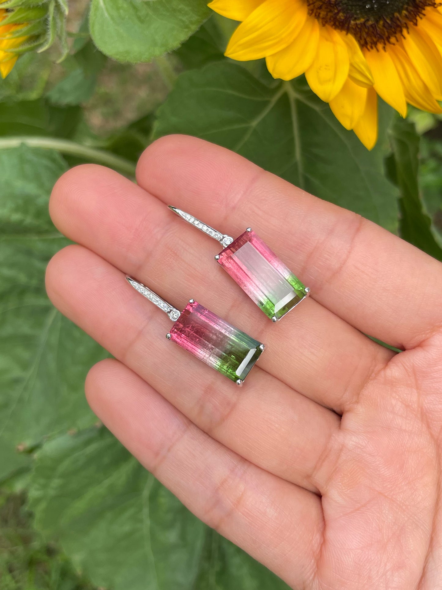 Watermelon Tourmaline Earrings - 14.66CT (NJE253)