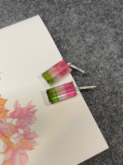 Watermelon Tourmaline Earrings - 14.66CT (NJE253)