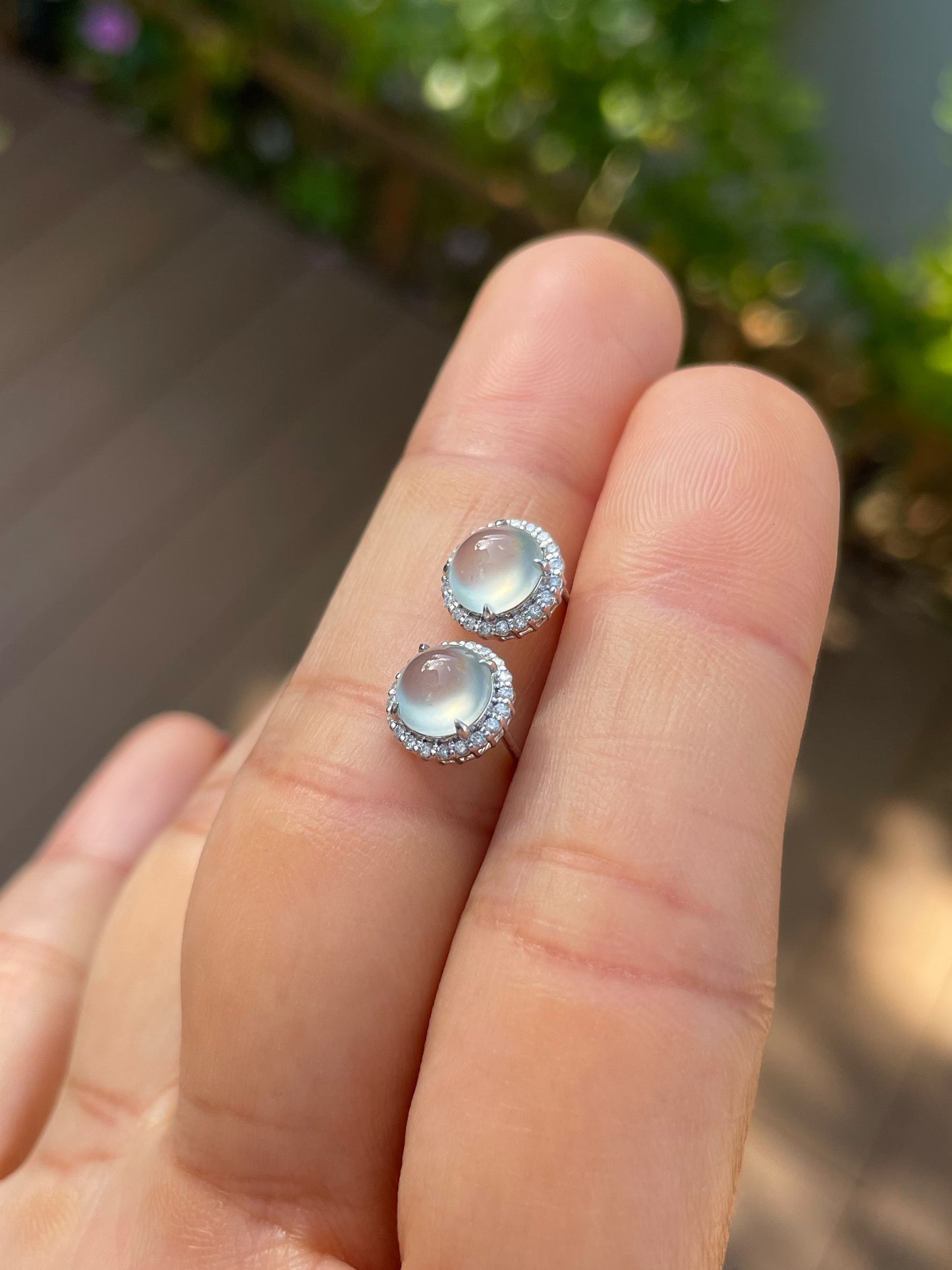 Glassy Jade Cabochon Earrings (NJE283)