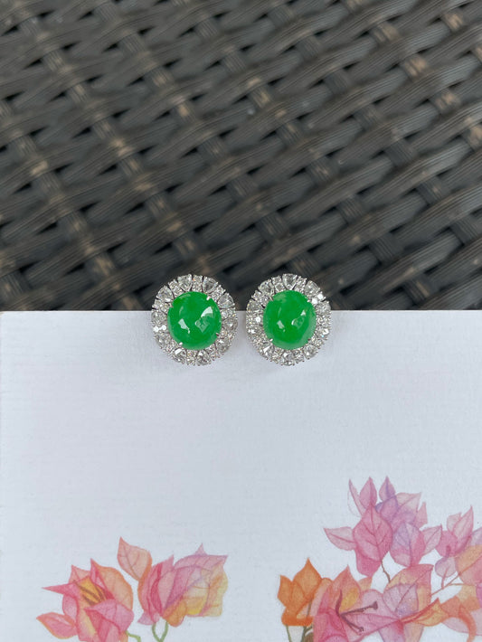 Green Jadeite Cabochon Earrings (NJE288)