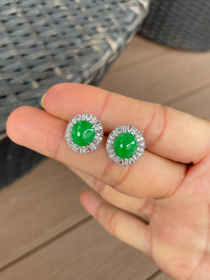 Green Jadeite Cabochon Earrings (NJE288)