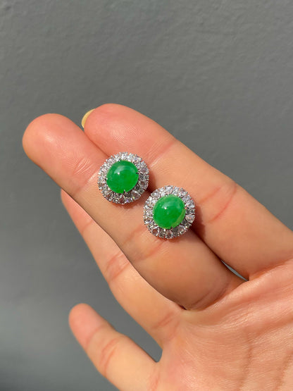 Green Jadeite Cabochon Earrings (NJE288)