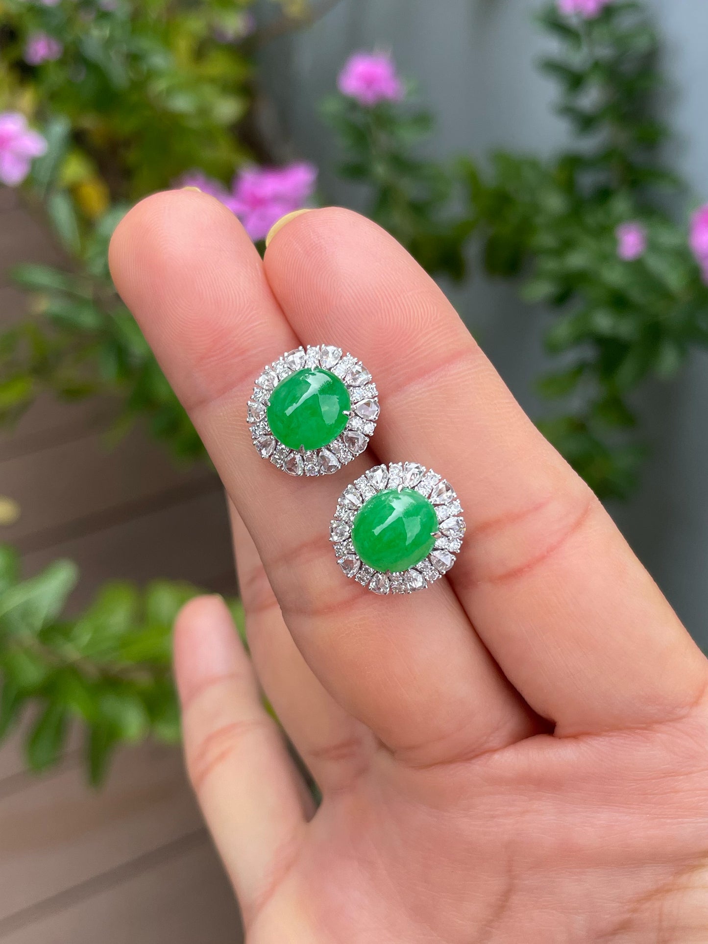 Green Jadeite Cabochon Earrings (NJE288)