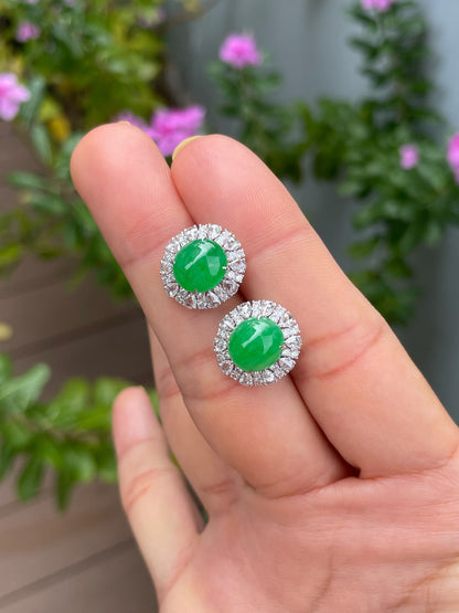 Green Jadeite Cabochon Earrings (NJE288)
