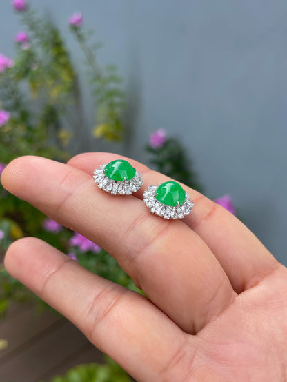 Green Jadeite Cabochon Earrings (NJE288)
