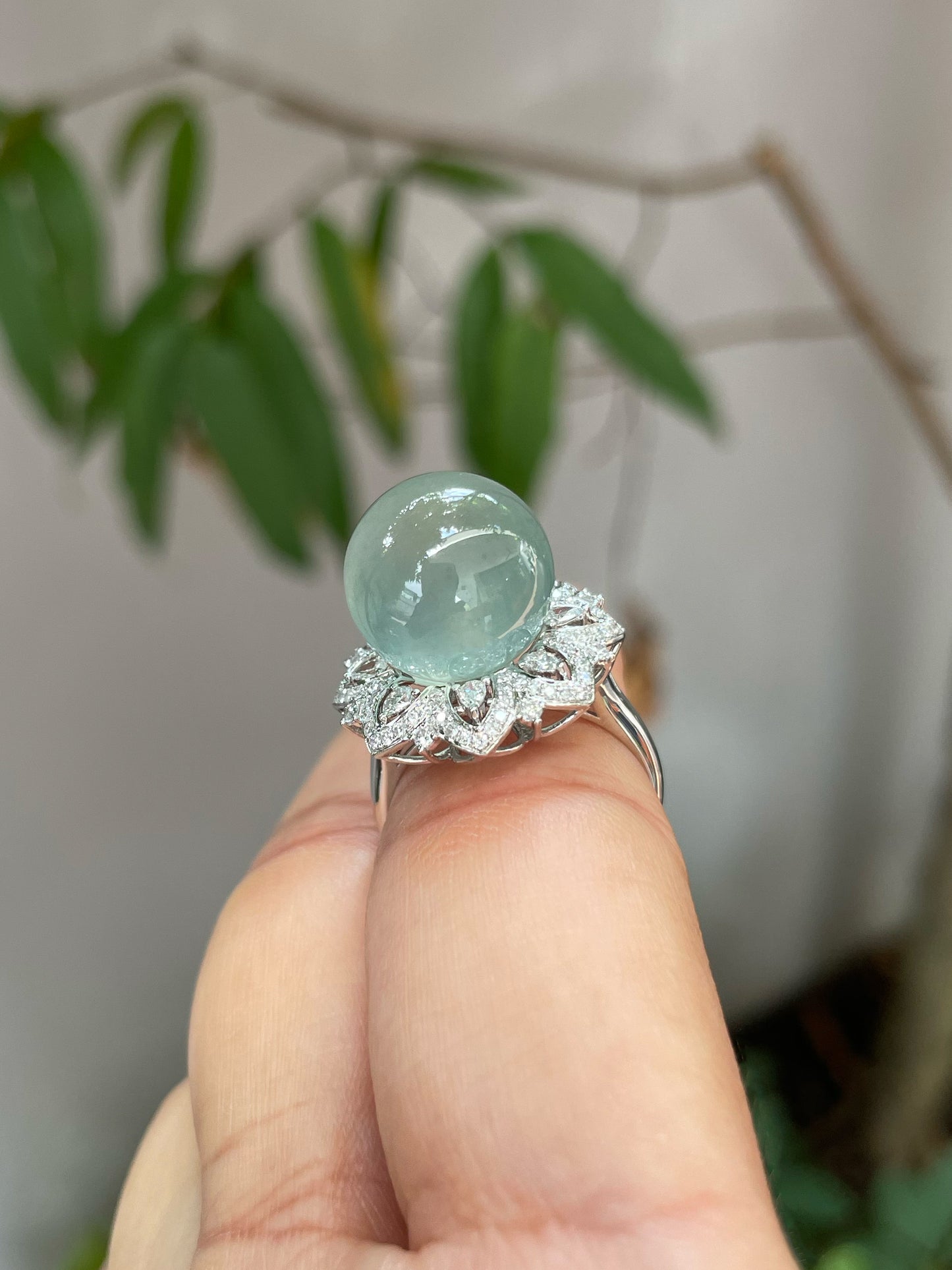 Icy Jade Ball Ring (NJR028)