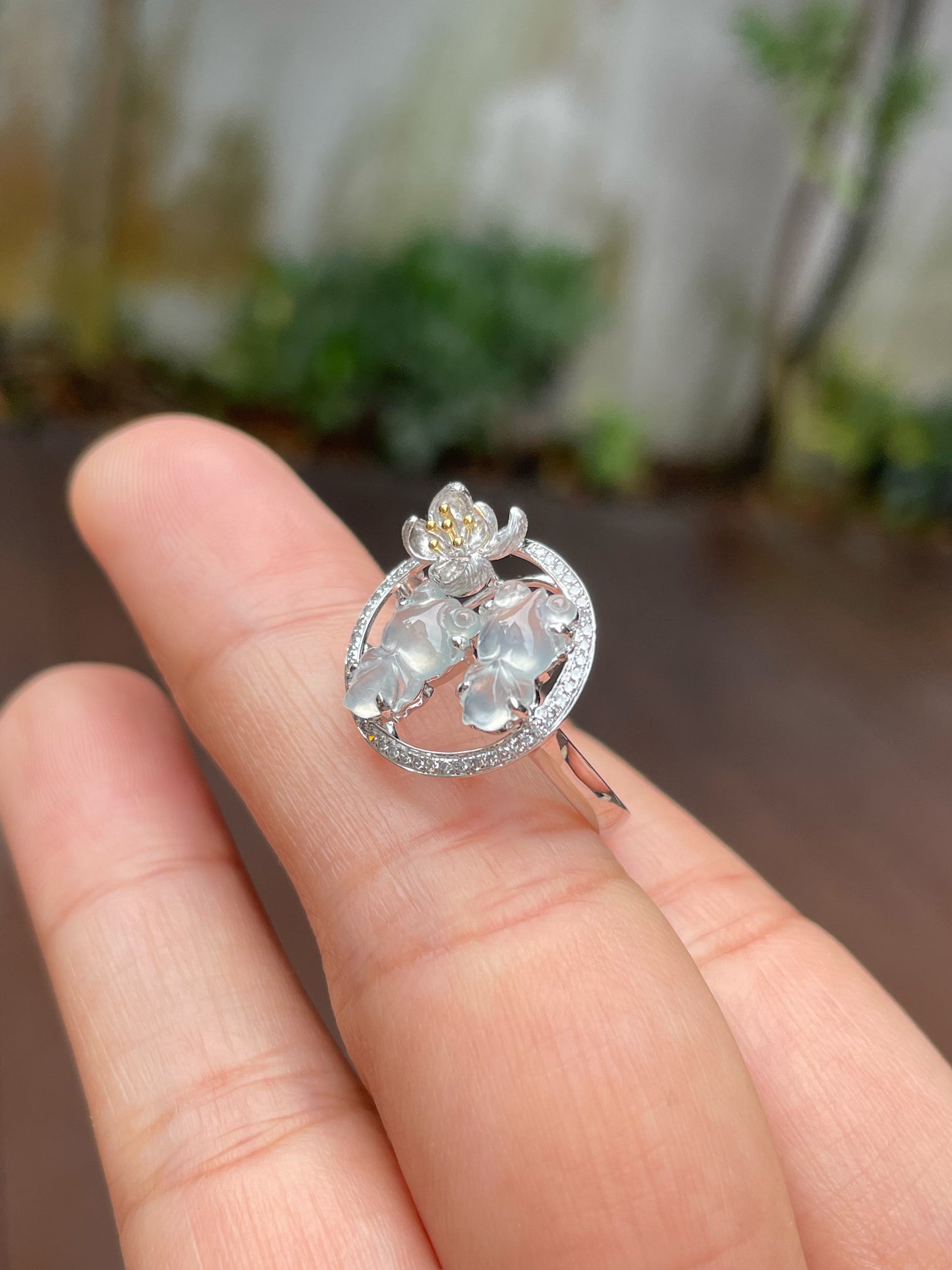 Glassy Goldfish Jade Ring (NJR161)