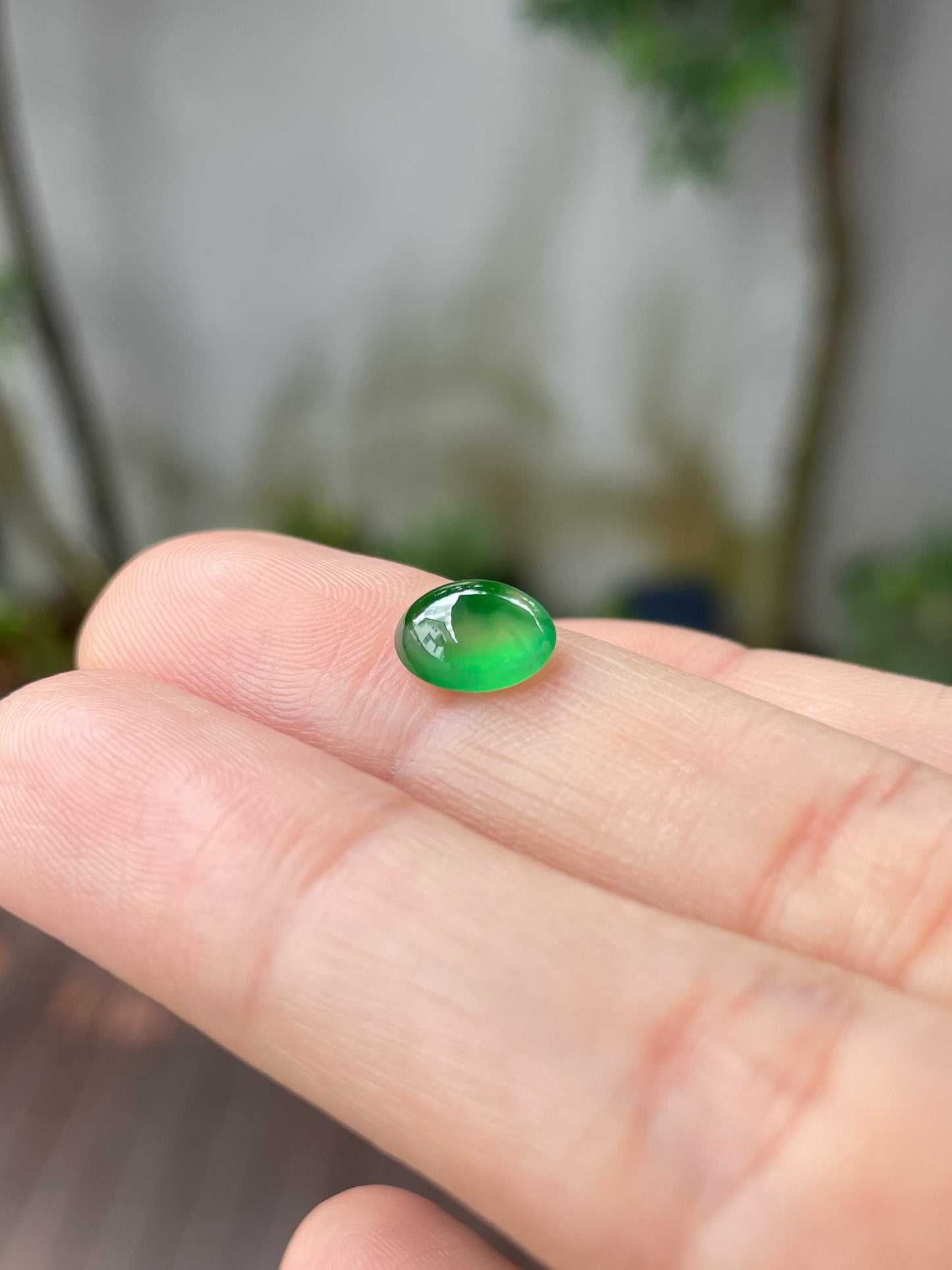 Green Jadeite Cabochon (NJR167)