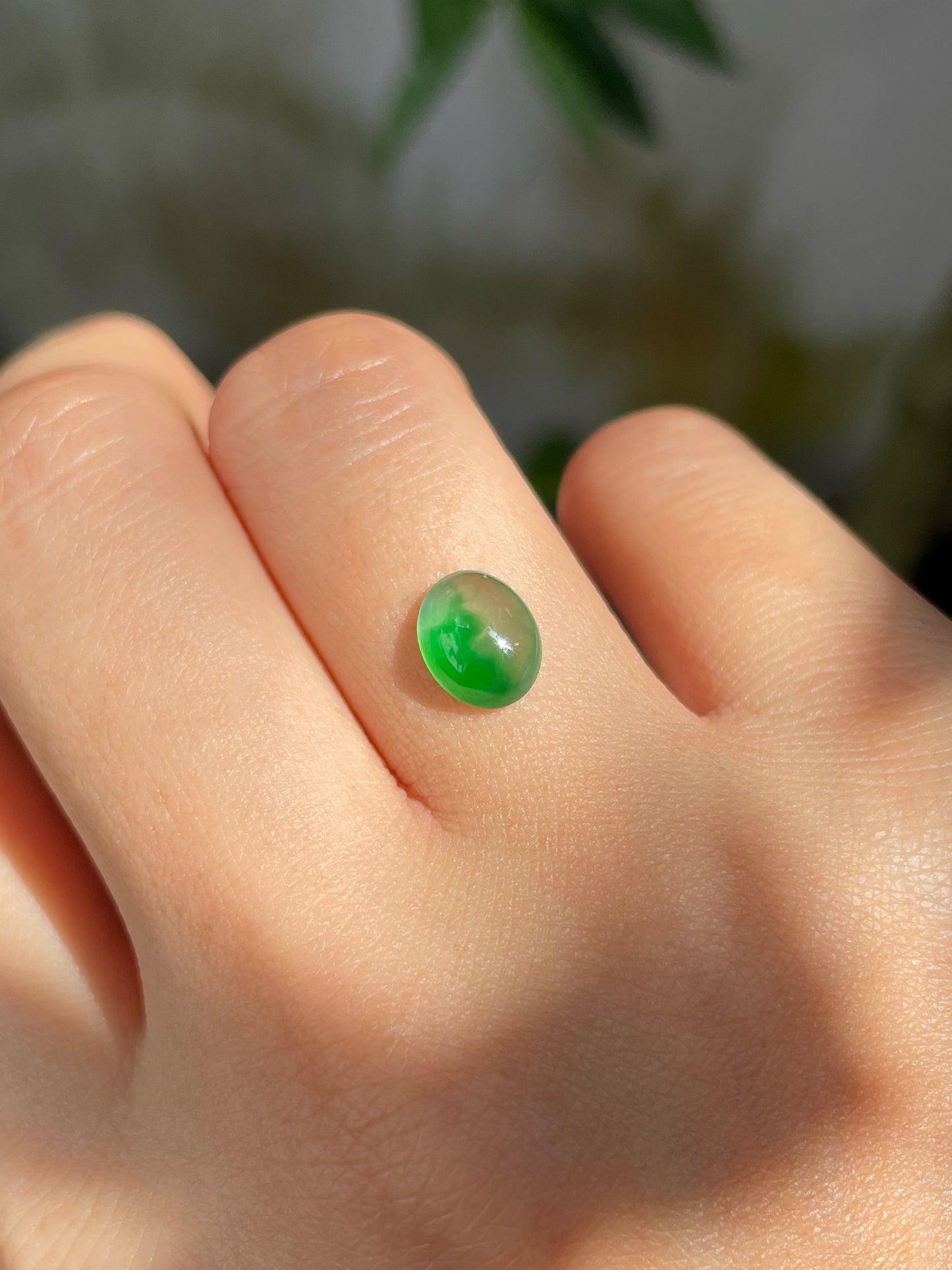 Green Jadeite Cabochon (NJR167)