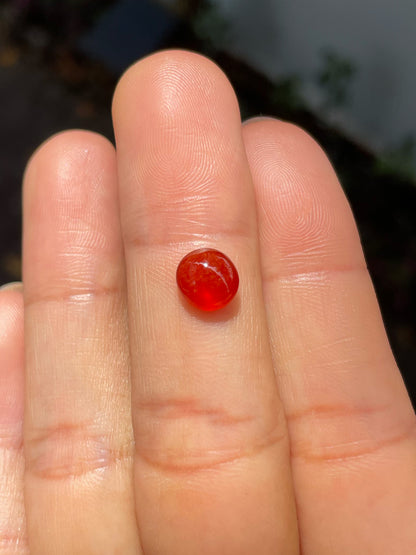 Red Jade Cabochon (NJR239)