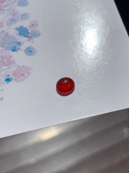 Red Jade Cabochon (NJR239)