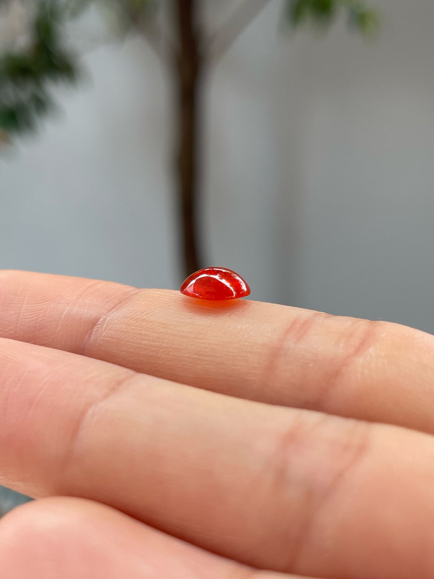 Red Jade Cabochon (NJR239)