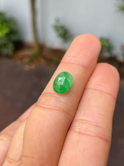 Icy Green Jadeite Cabochon (NJR261)