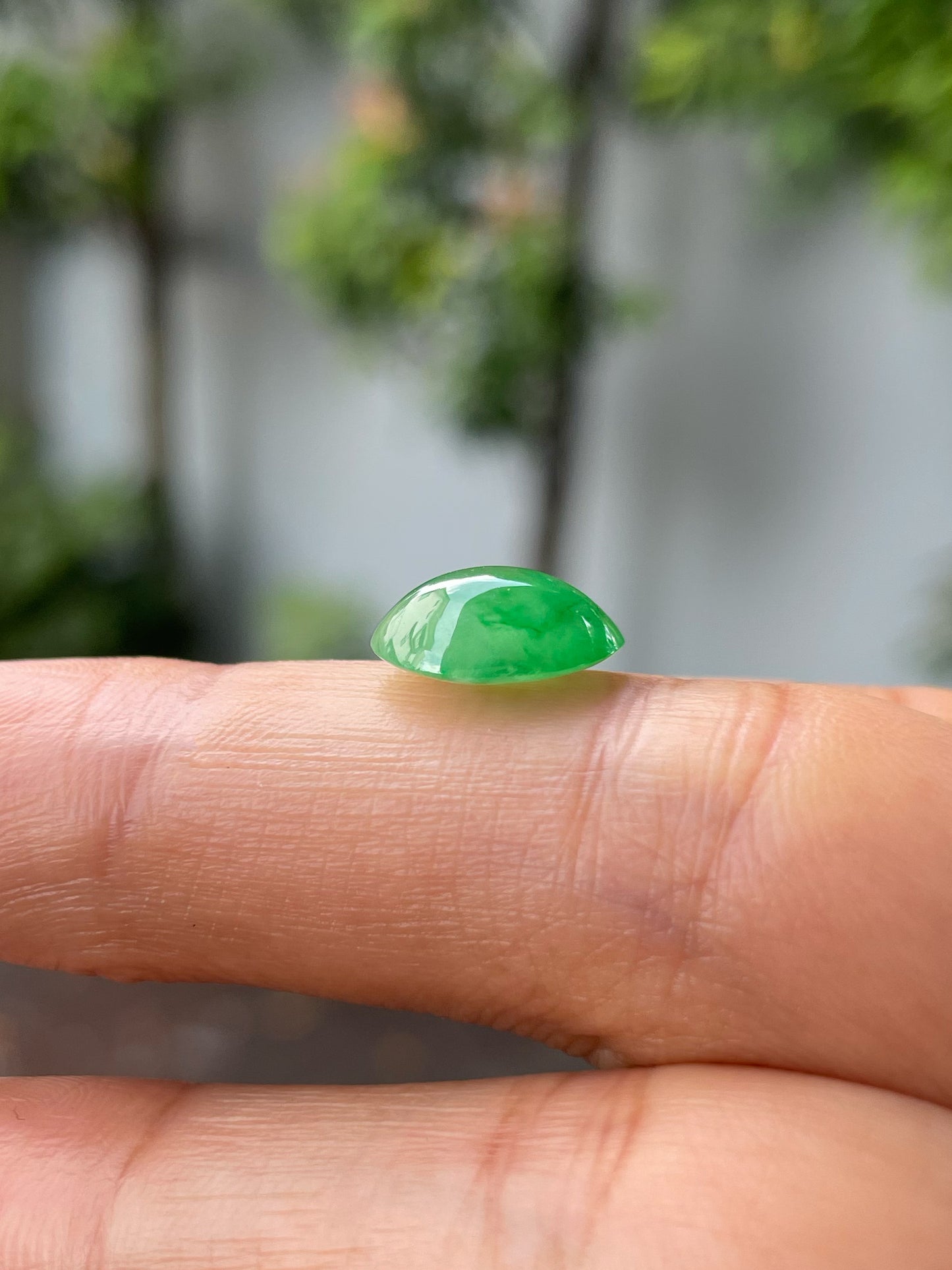 Icy Green Jadeite Cabochon (NJR261)