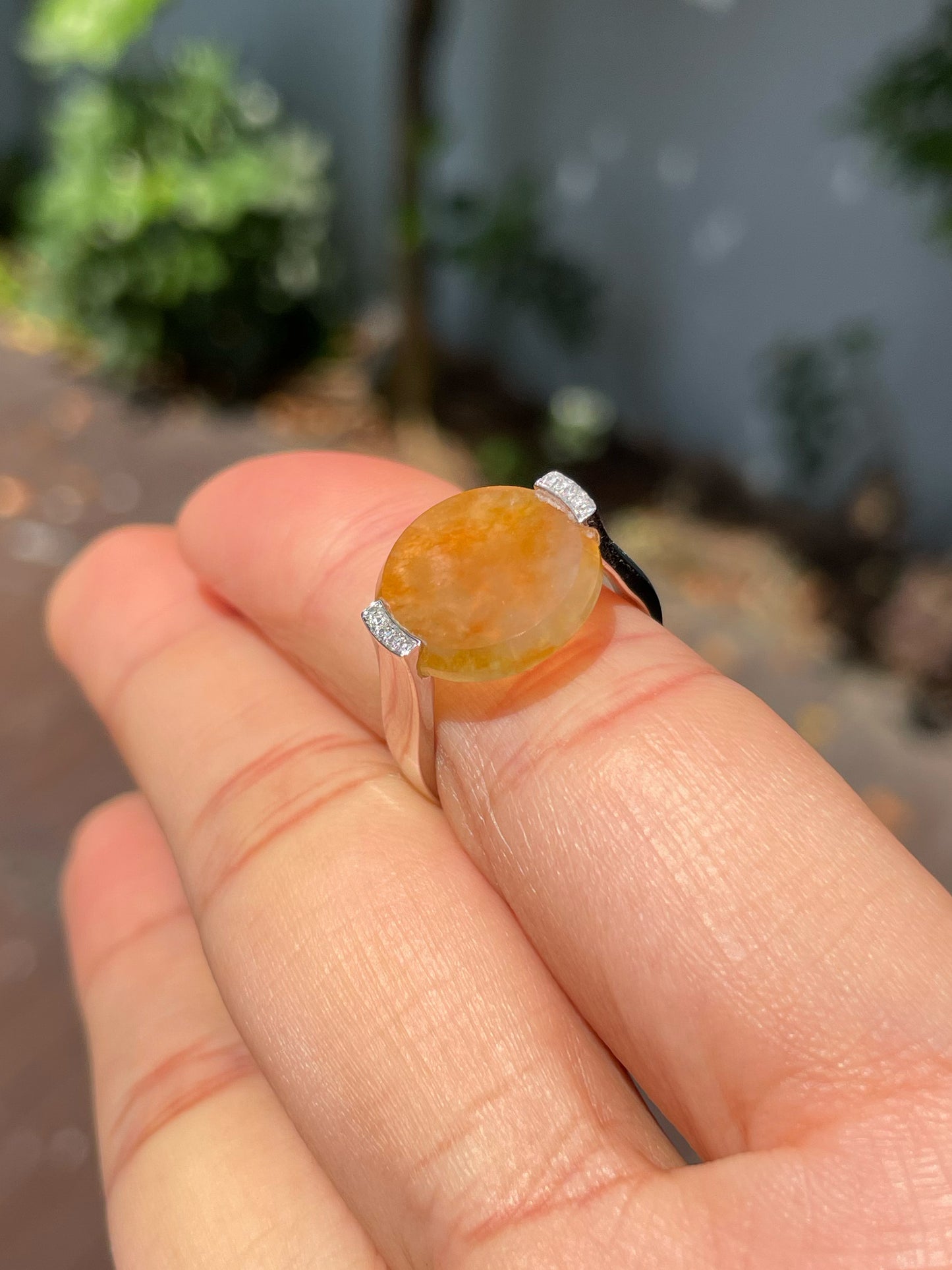 Icy Yellow Jadeite Ring -  Round Disc (NJR267)