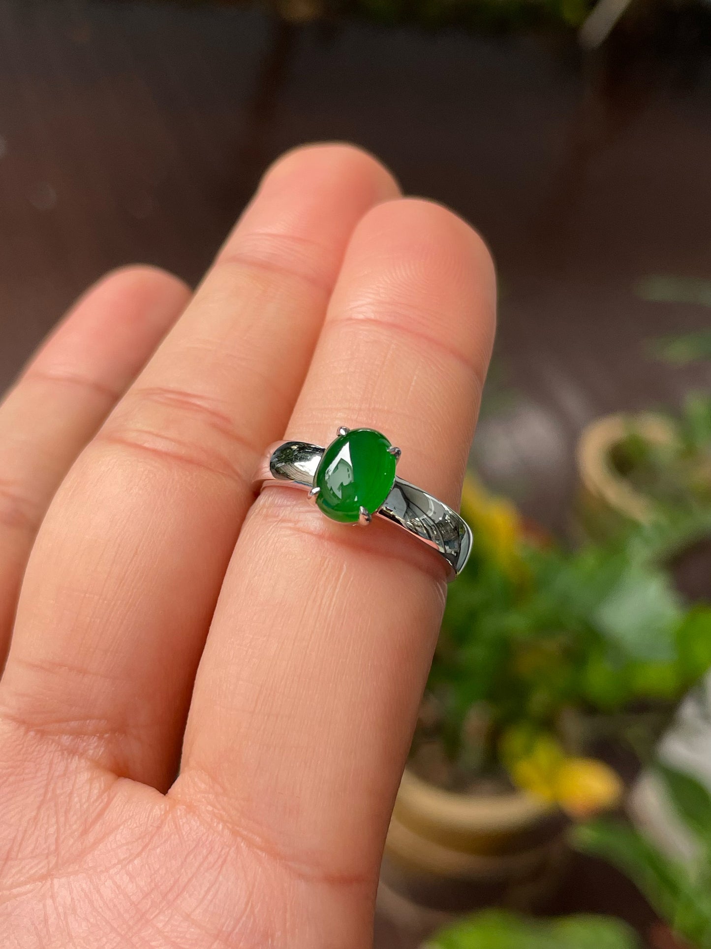 Green Jadeite Cabochon Ring (NJR282)