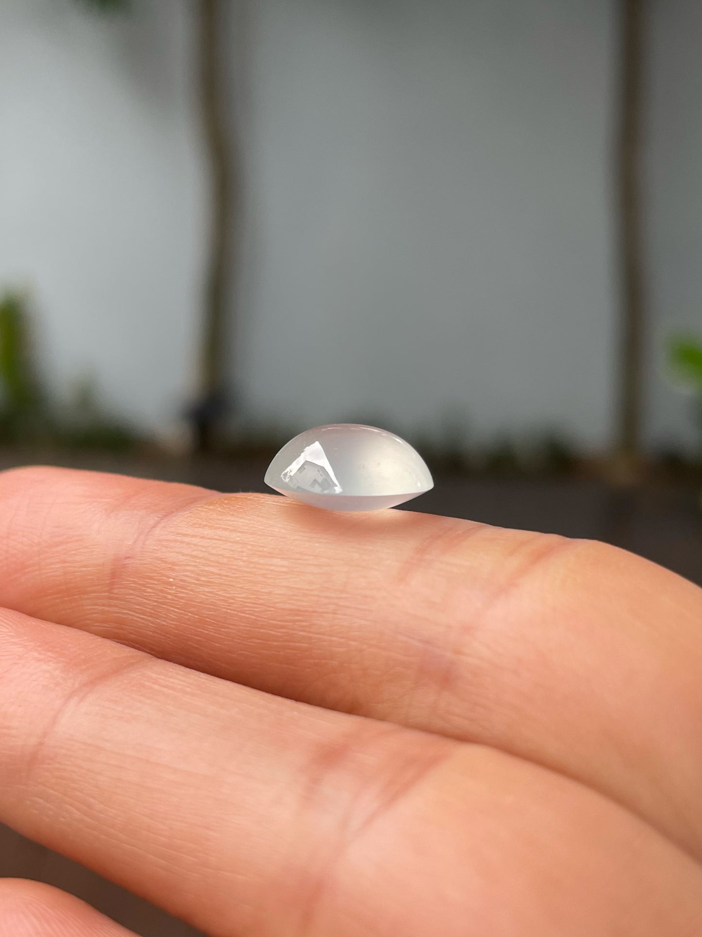 Glassy Jade Cabochon (NJR286)