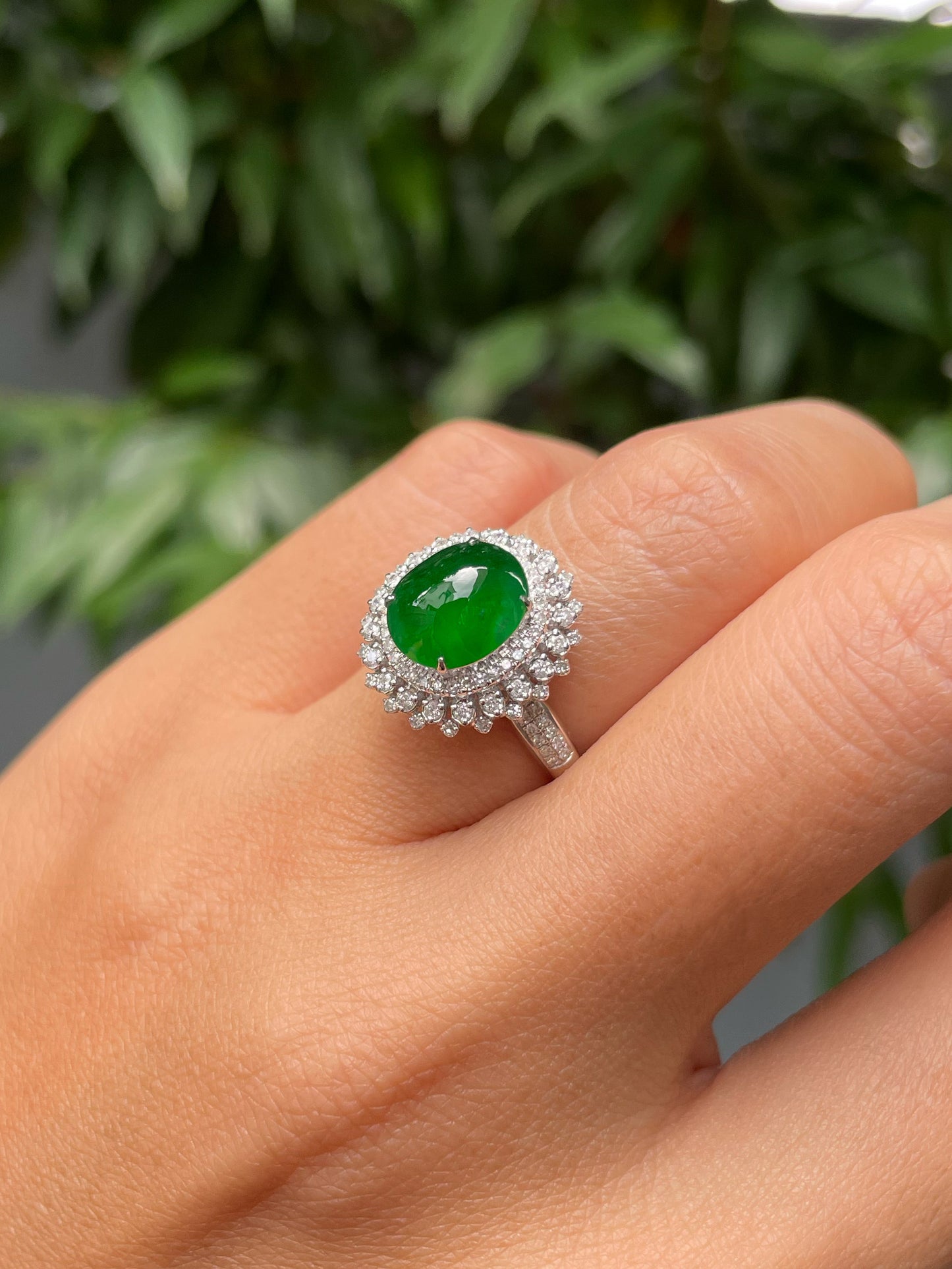 Green Jadeite Cabochon Ring (NJR298)