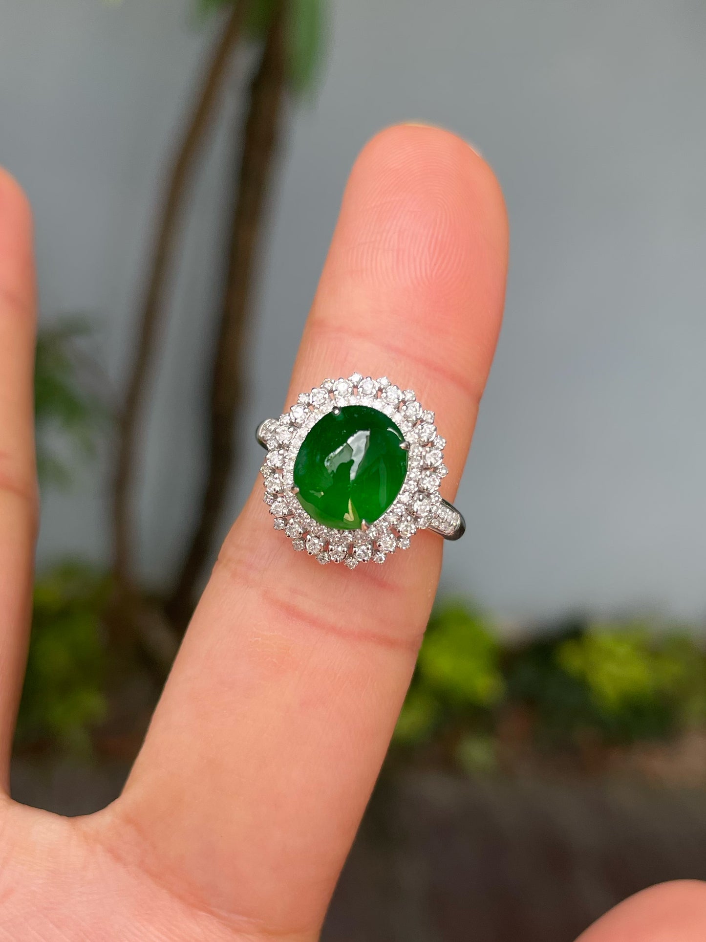 Green Jadeite Cabochon Ring (NJR298)