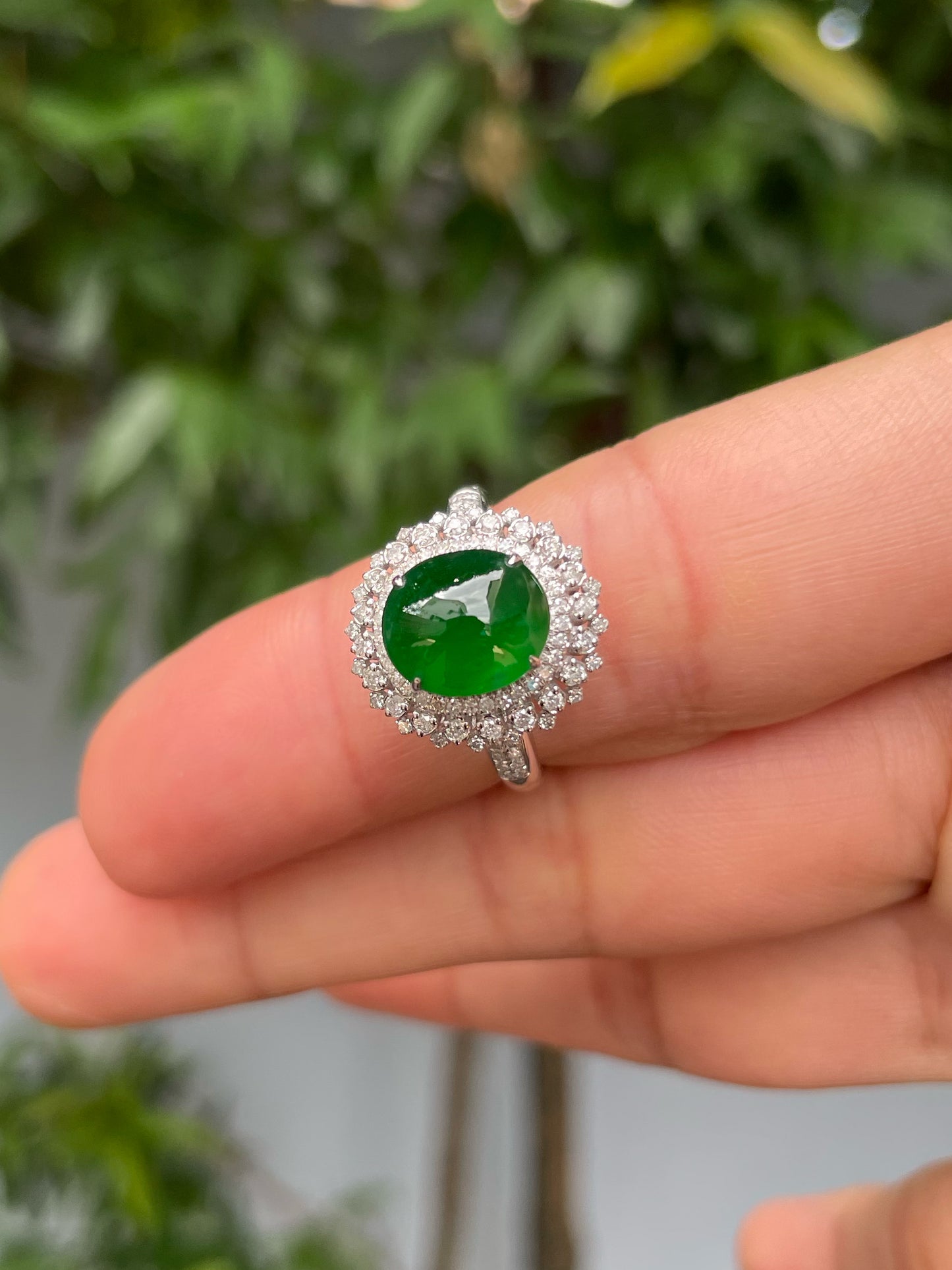 Green Jadeite Cabochon Ring (NJR298)