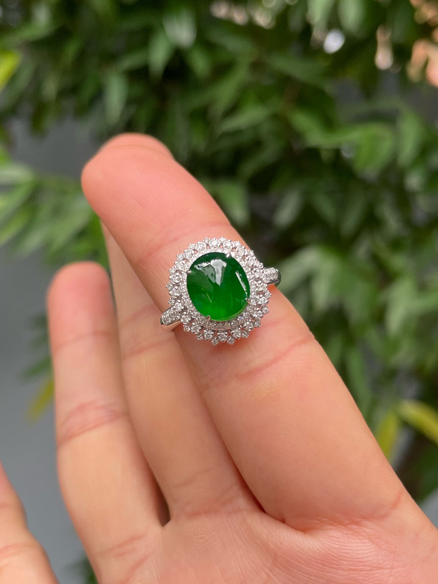 Green Jadeite Cabochon Ring (NJR298)