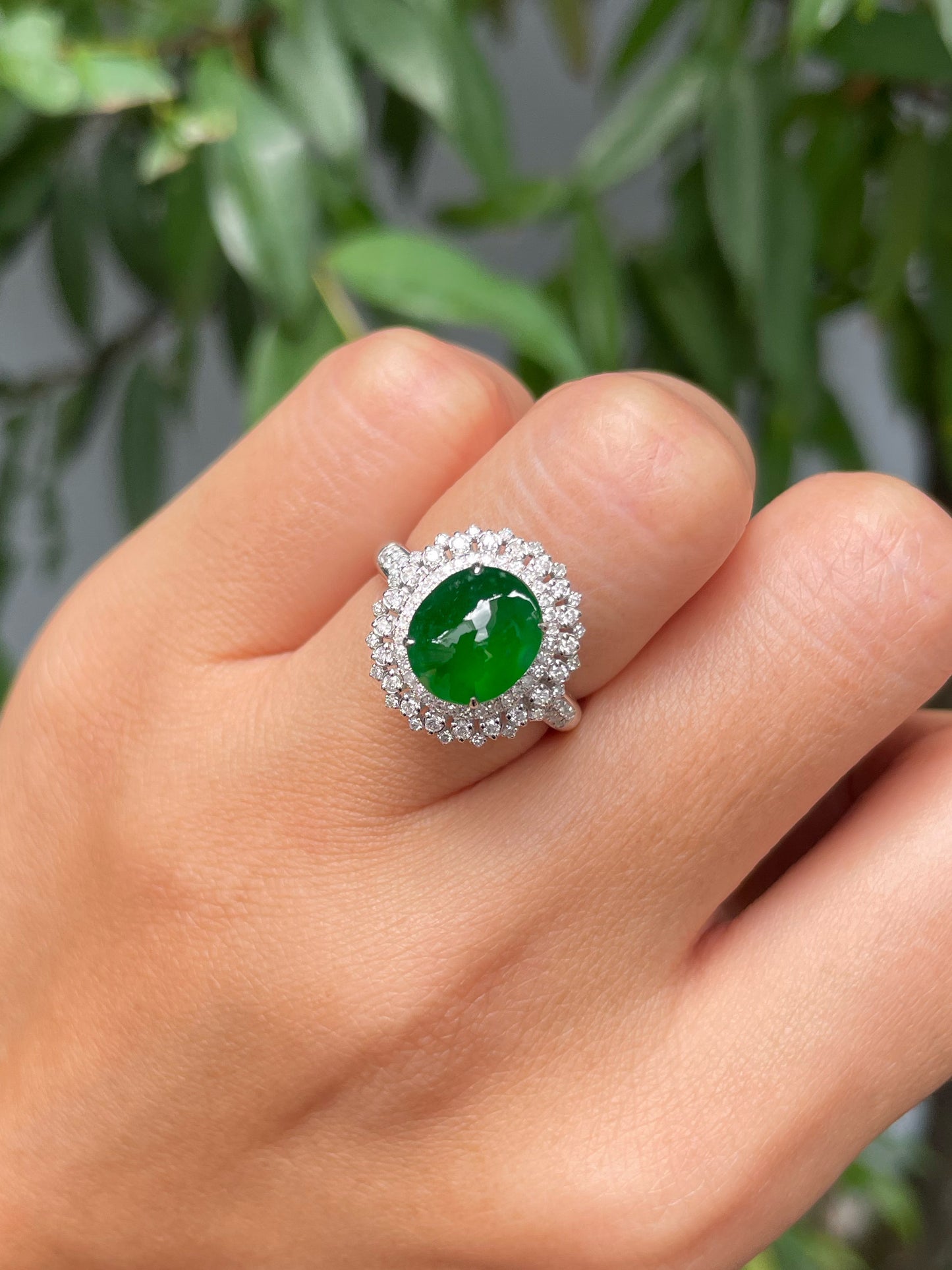 Green Jadeite Cabochon Ring (NJR298)