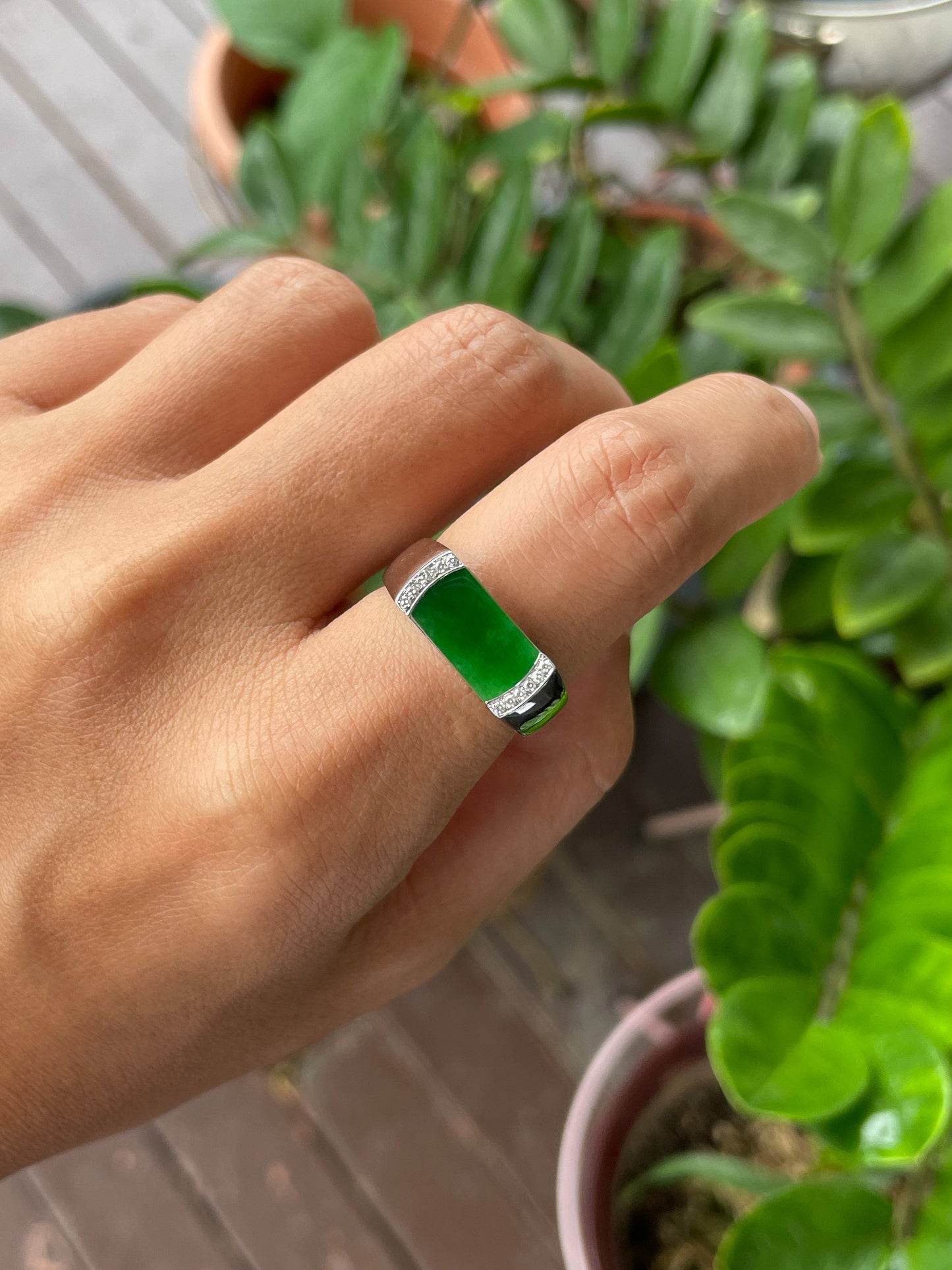 Green Jadeite Ring (NJR330)