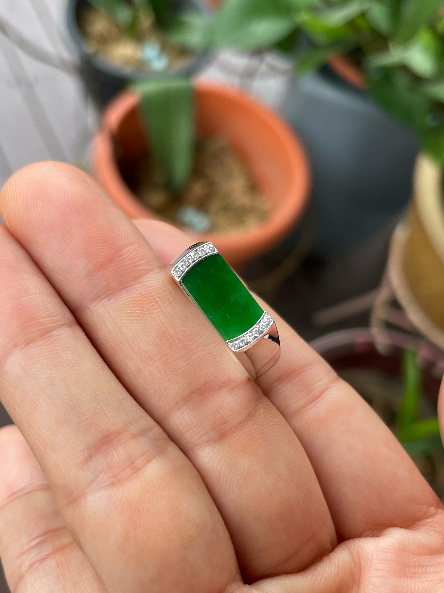 Green Jadeite Ring (NJR330)